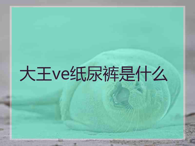 大王ve纸尿裤是什么