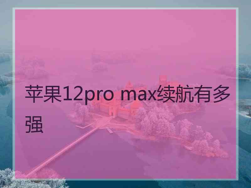 苹果12pro max续航有多强