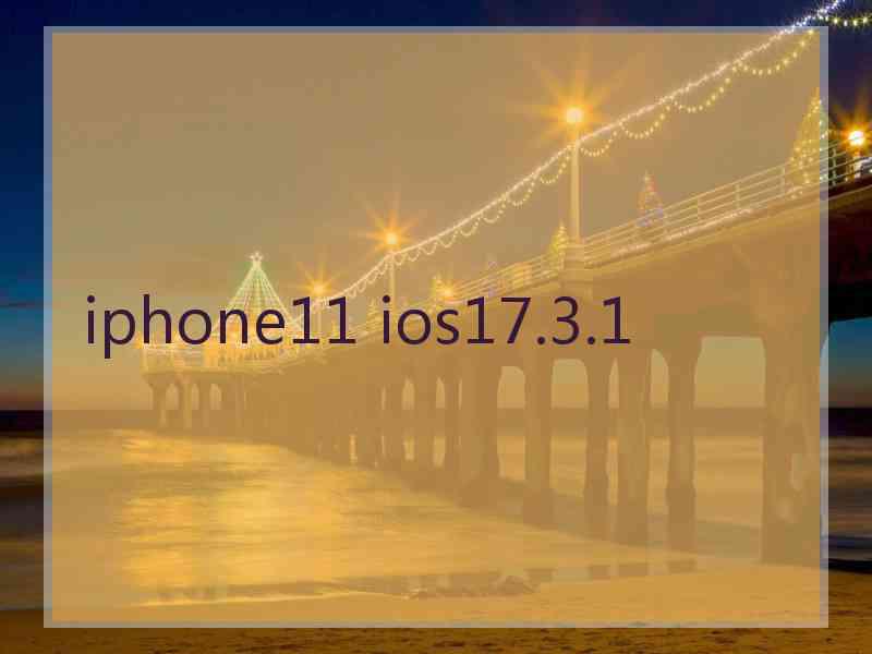 iphone11 ios17.3.1