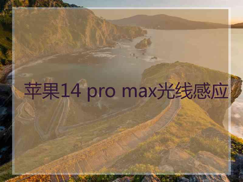 苹果14 pro max光线感应