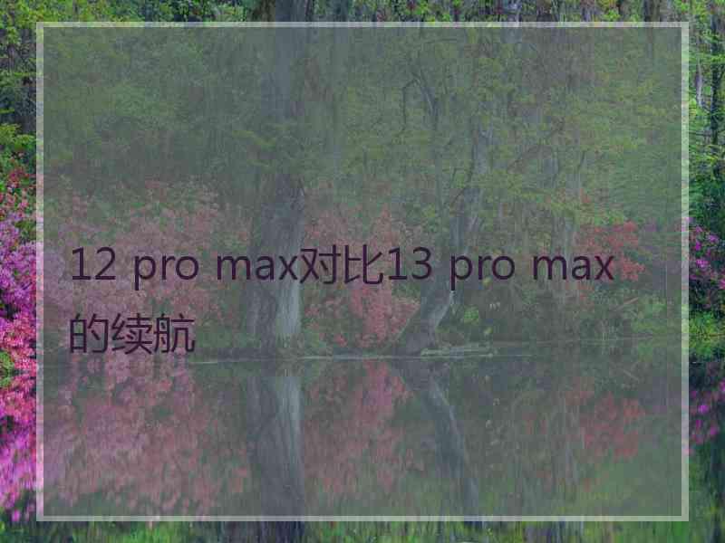 12 pro max对比13 pro max的续航