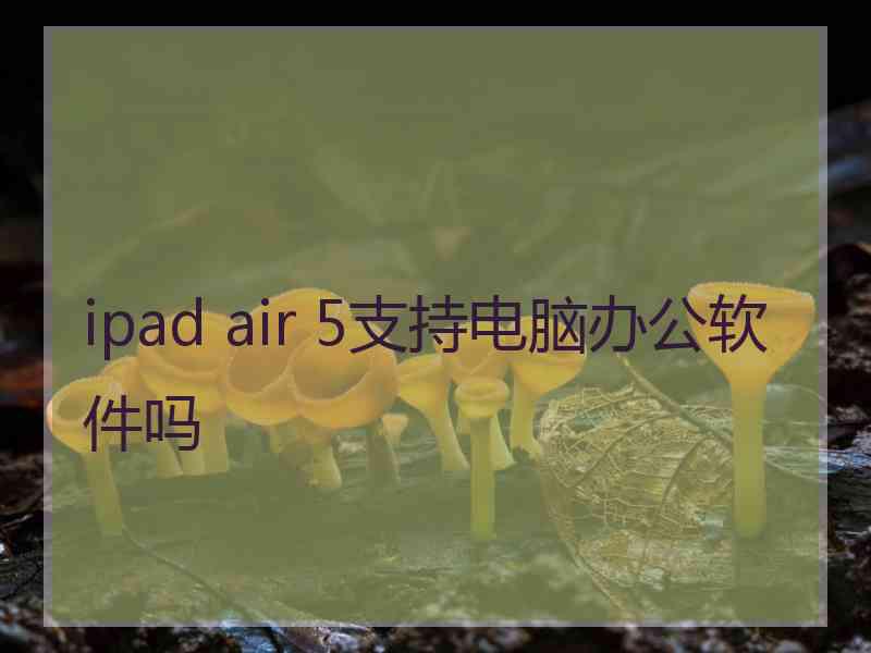 ipad air 5支持电脑办公软件吗