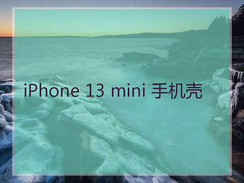 iPhone 13 mini 手机壳