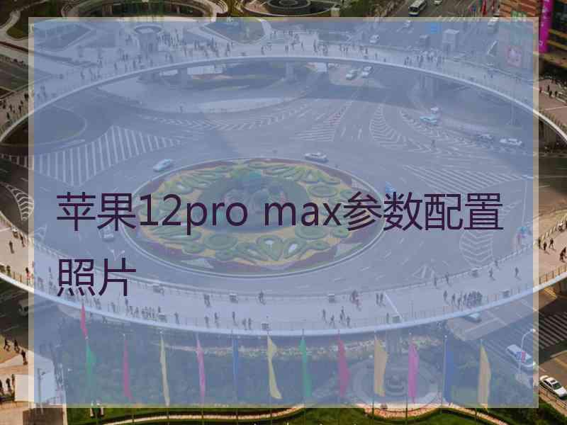 苹果12pro max参数配置照片