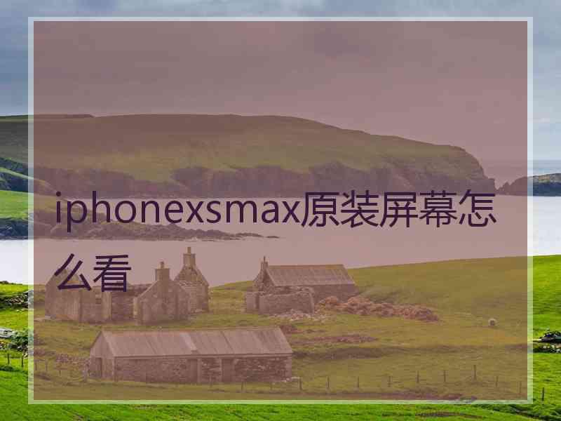 iphonexsmax原装屏幕怎么看