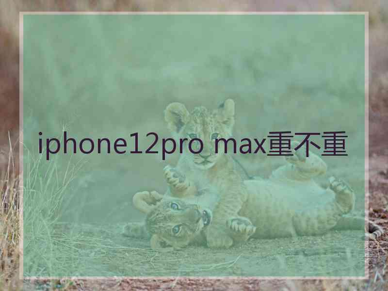 iphone12pro max重不重