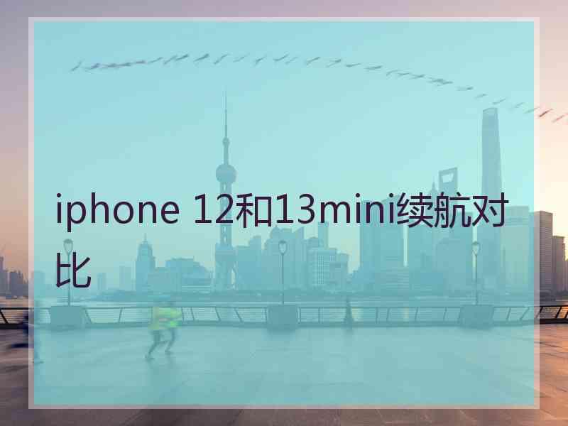 iphone 12和13mini续航对比