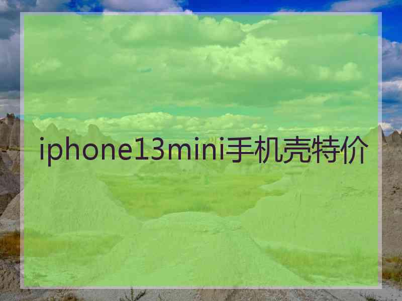 iphone13mini手机壳特价