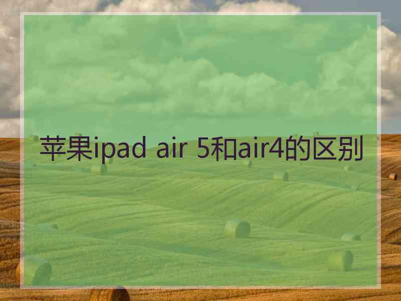 苹果ipad air 5和air4的区别