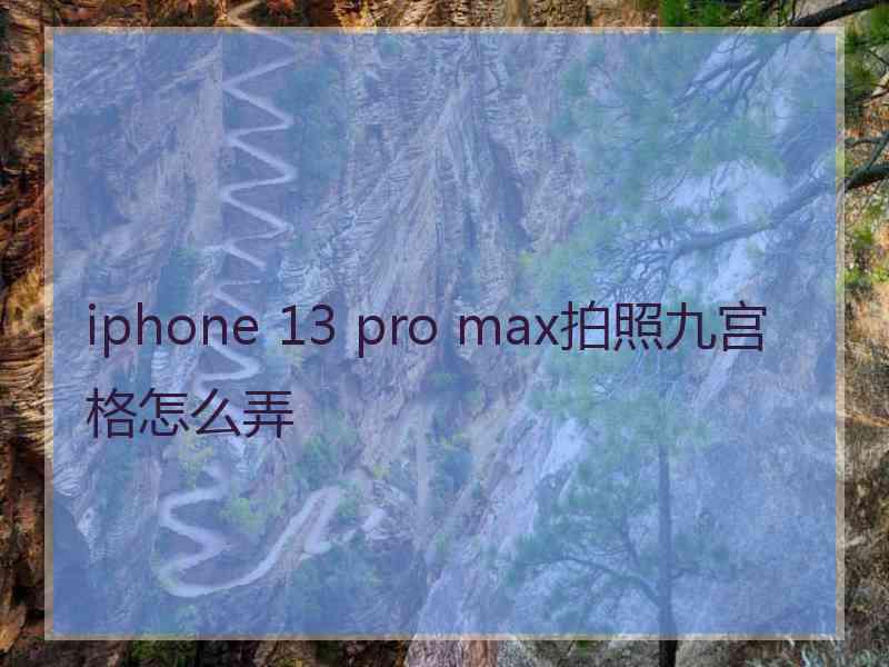 iphone 13 pro max拍照九宫格怎么弄