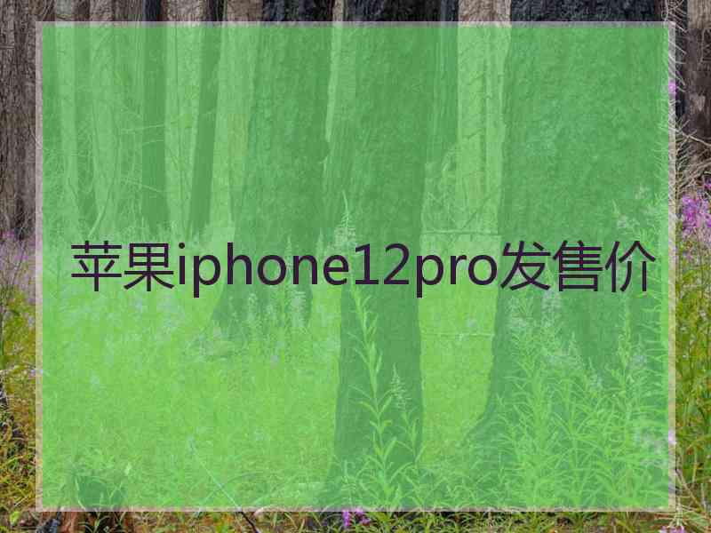 苹果iphone12pro发售价