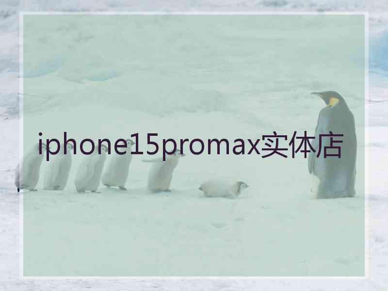 iphone15promax实体店