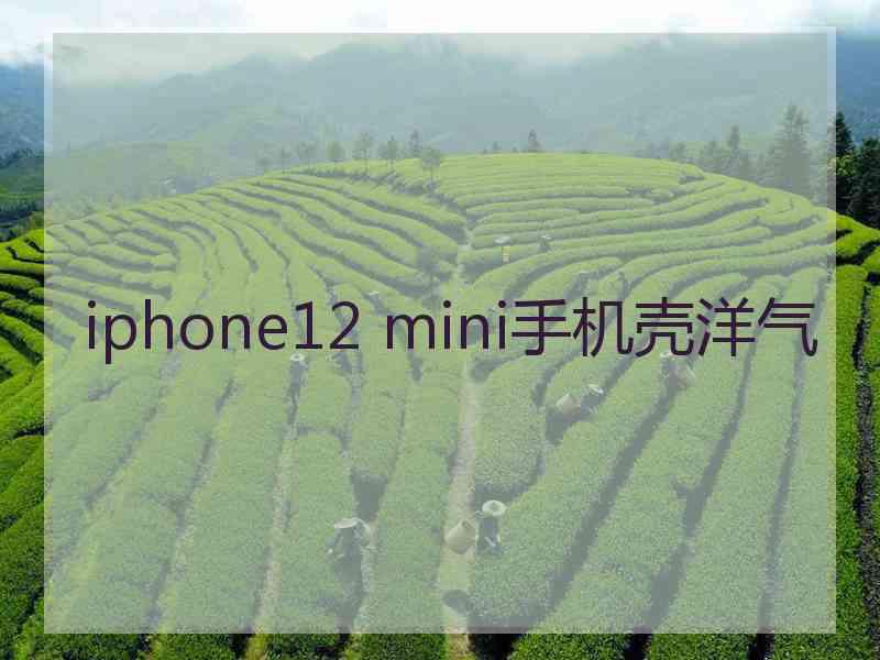 iphone12 mini手机壳洋气