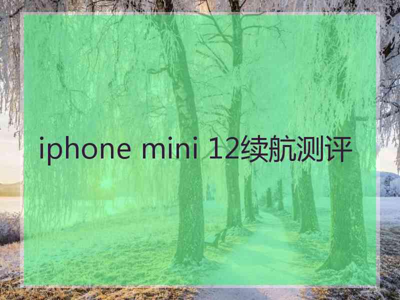 iphone mini 12续航测评