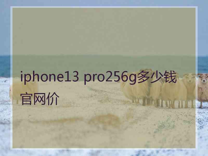 iphone13 pro256g多少钱官网价