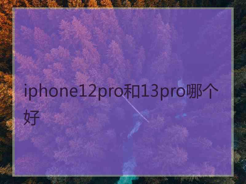 iphone12pro和13pro哪个好