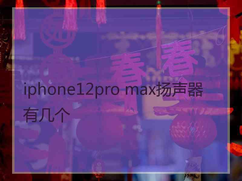 iphone12pro max扬声器有几个