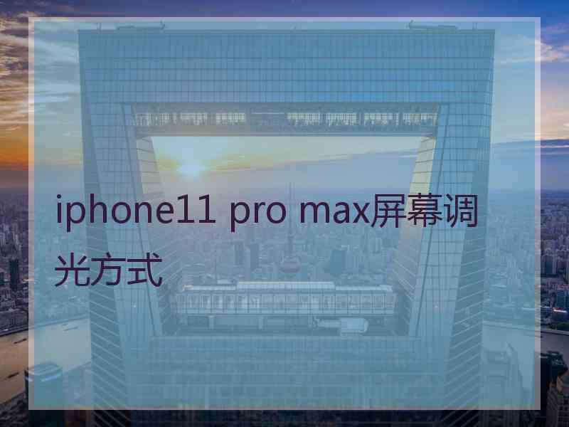 iphone11 pro max屏幕调光方式