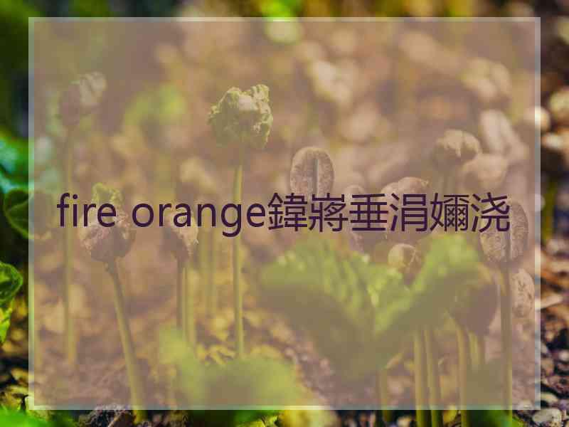 fire orange鍏嶈垂涓嬭浇