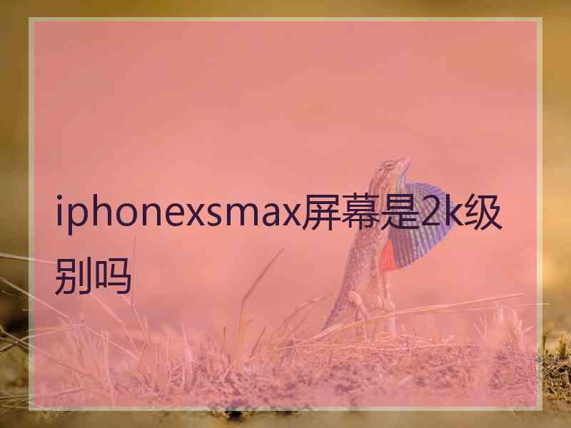 iphonexsmax屏幕是2k级别吗