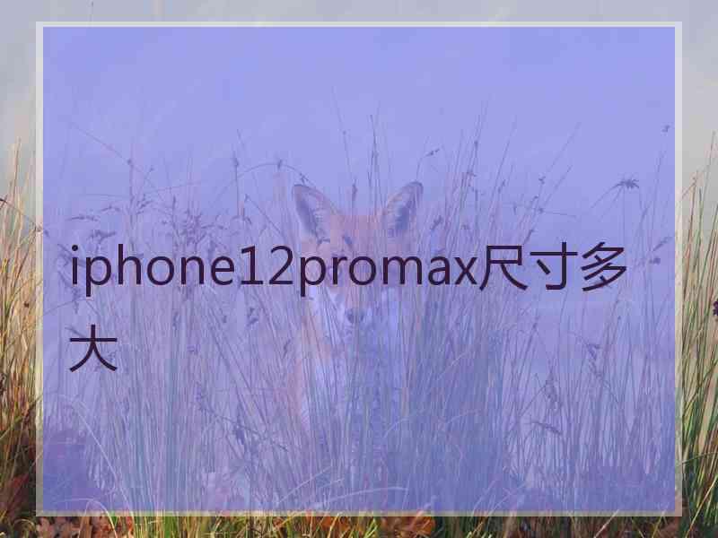 iphone12promax尺寸多大