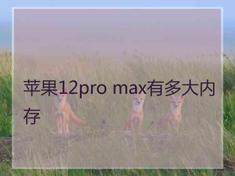 苹果12pro max有多大内存