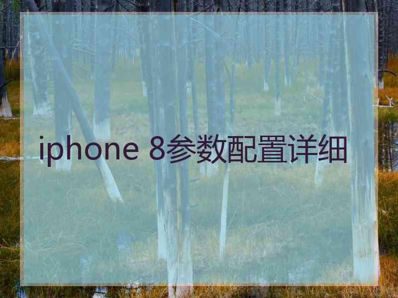 iphone 8参数配置详细