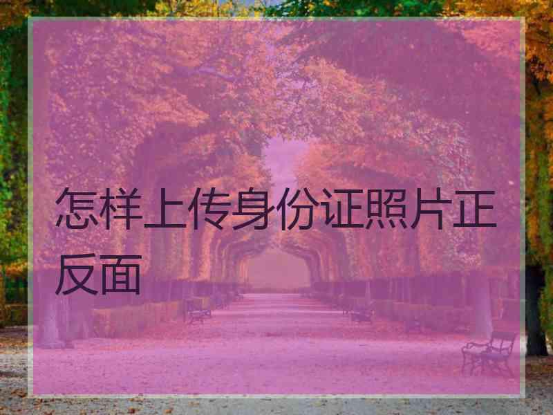 怎样上传身份证照片正反面