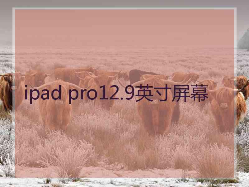 ipad pro12.9英寸屏幕