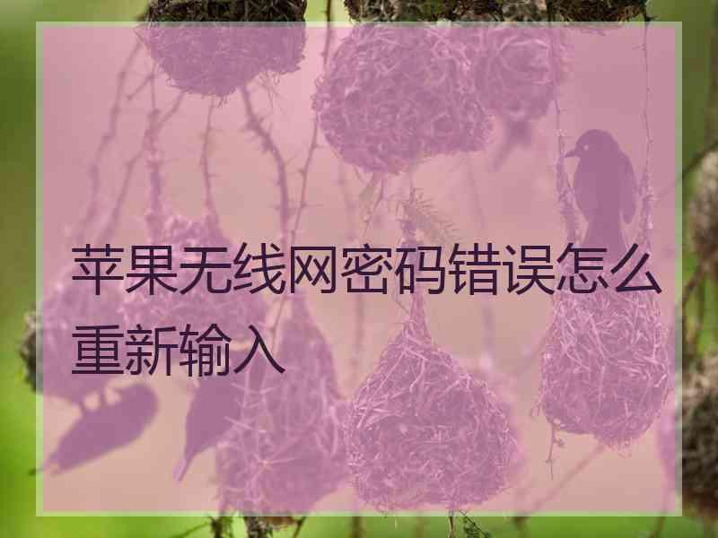 苹果无线网密码错误怎么重新输入