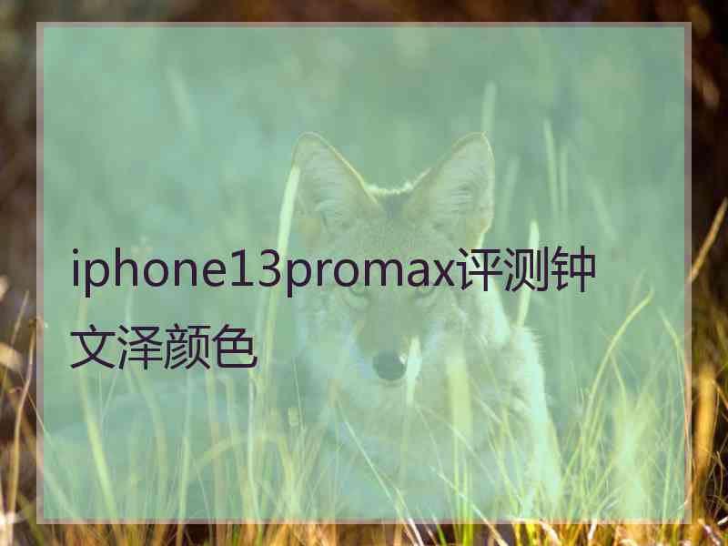 iphone13promax评测钟文泽颜色