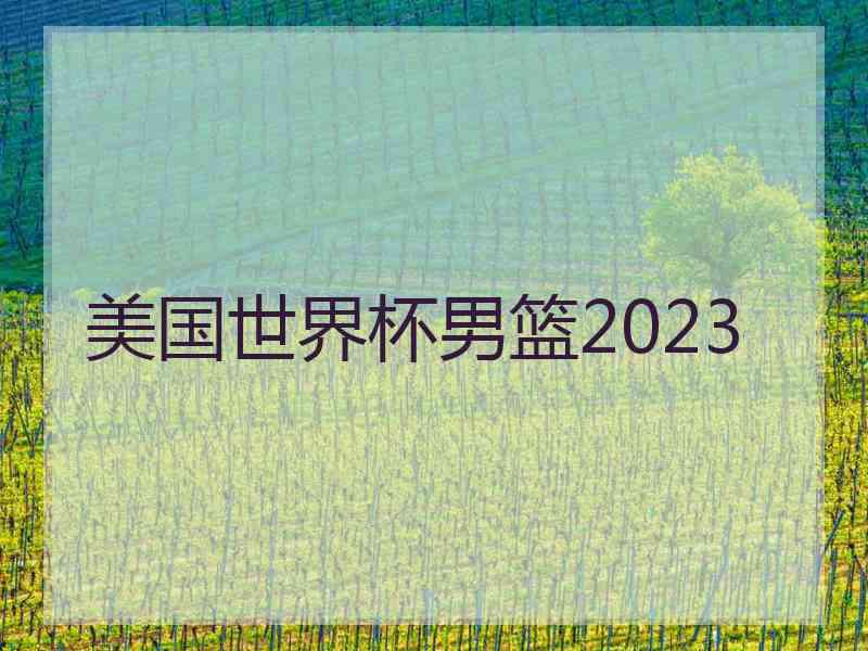 美国世界杯男篮2023