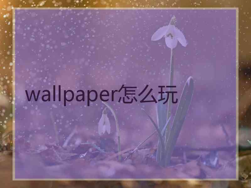 wallpaper怎么玩