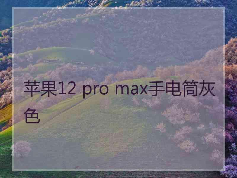 苹果12 pro max手电筒灰色