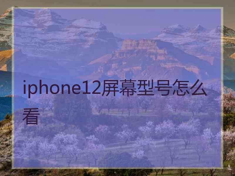 iphone12屏幕型号怎么看