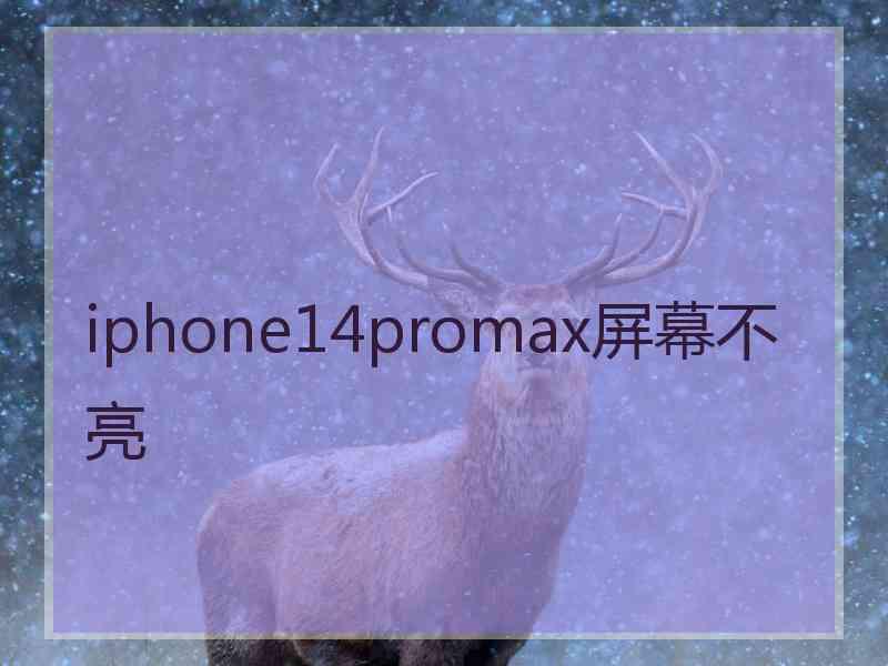 iphone14promax屏幕不亮