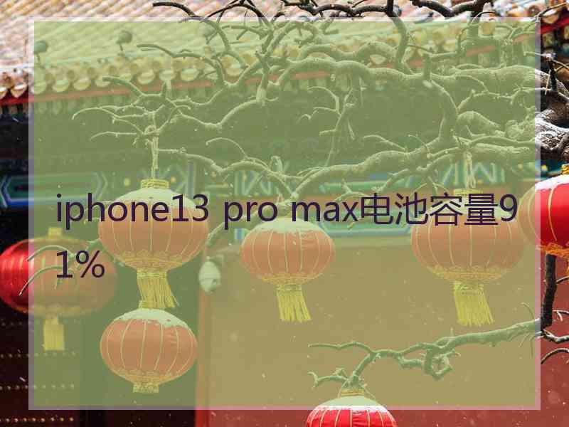 iphone13 pro max电池容量91%