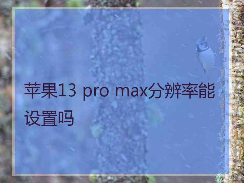 苹果13 pro max分辨率能设置吗