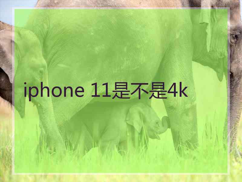 iphone 11是不是4k