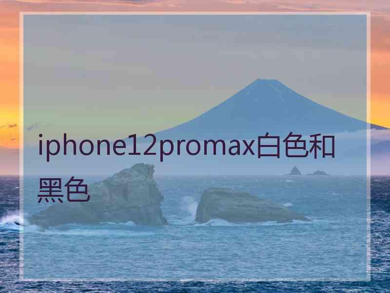 iphone12promax白色和黑色