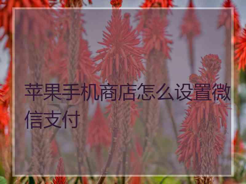 苹果手机商店怎么设置微信支付