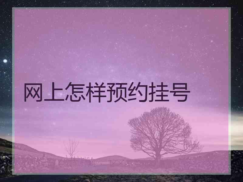 网上怎样预约挂号