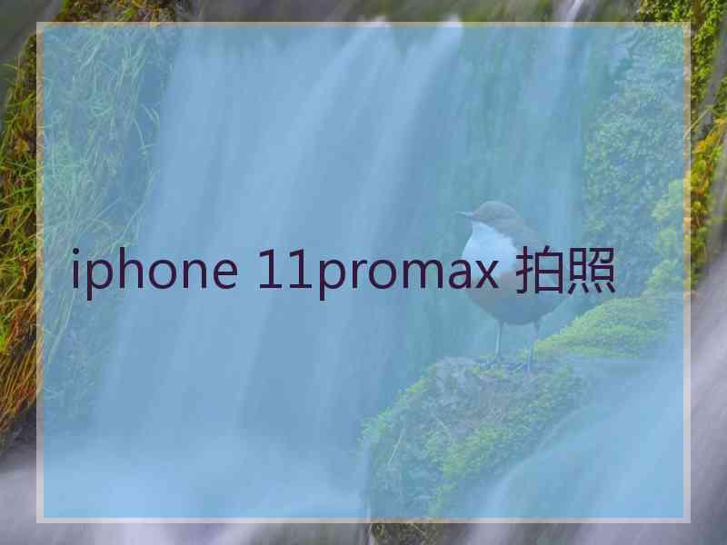 iphone 11promax 拍照