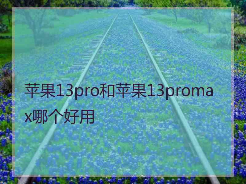 苹果13pro和苹果13promax哪个好用