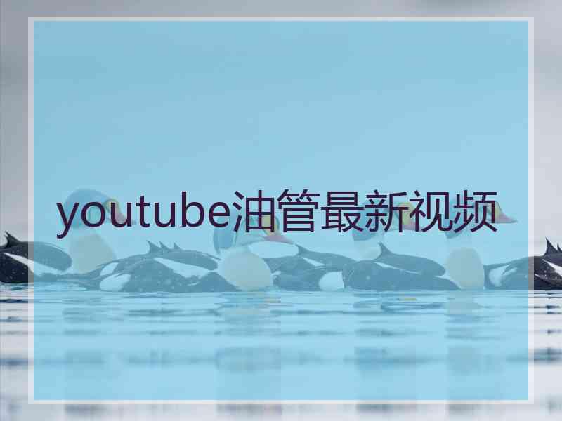 youtube油管最新视频