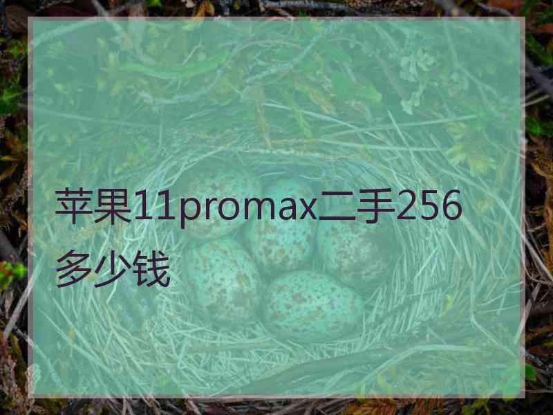 苹果11promax二手256多少钱