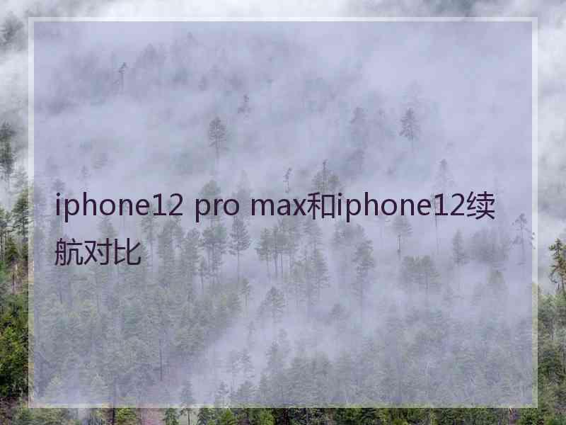 iphone12 pro max和iphone12续航对比