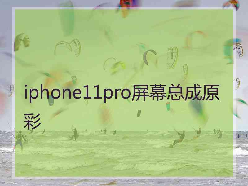 iphone11pro屏幕总成原彩