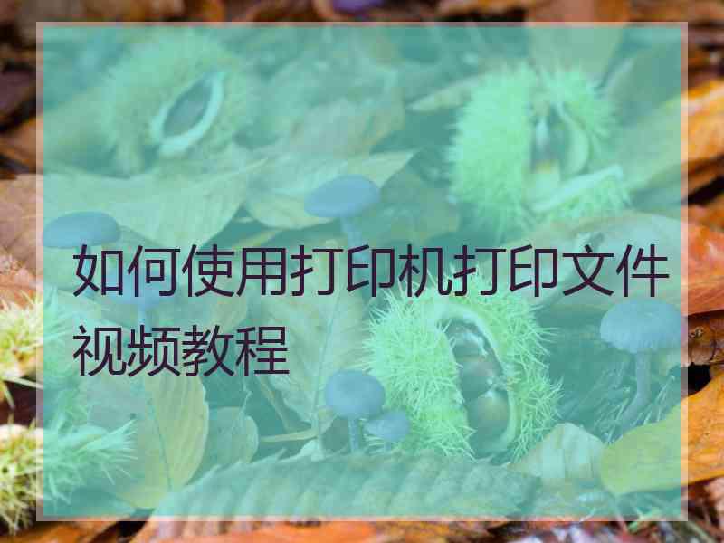 如何使用打印机打印文件视频教程