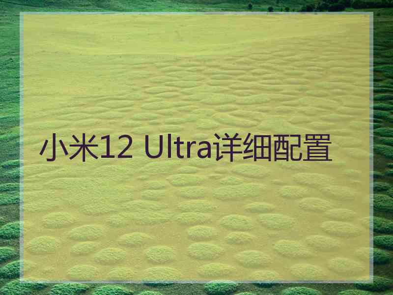 小米12 Ultra详细配置